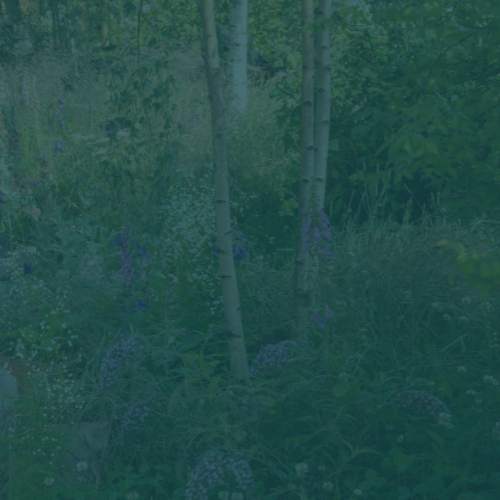 Virtual Assistant: Landscaping Project Support