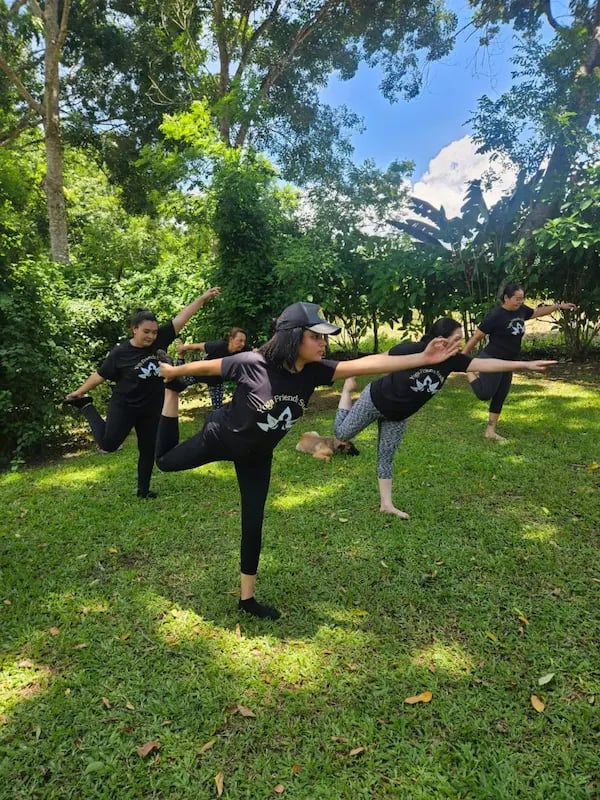 a group of people doing yoga poses in the grass