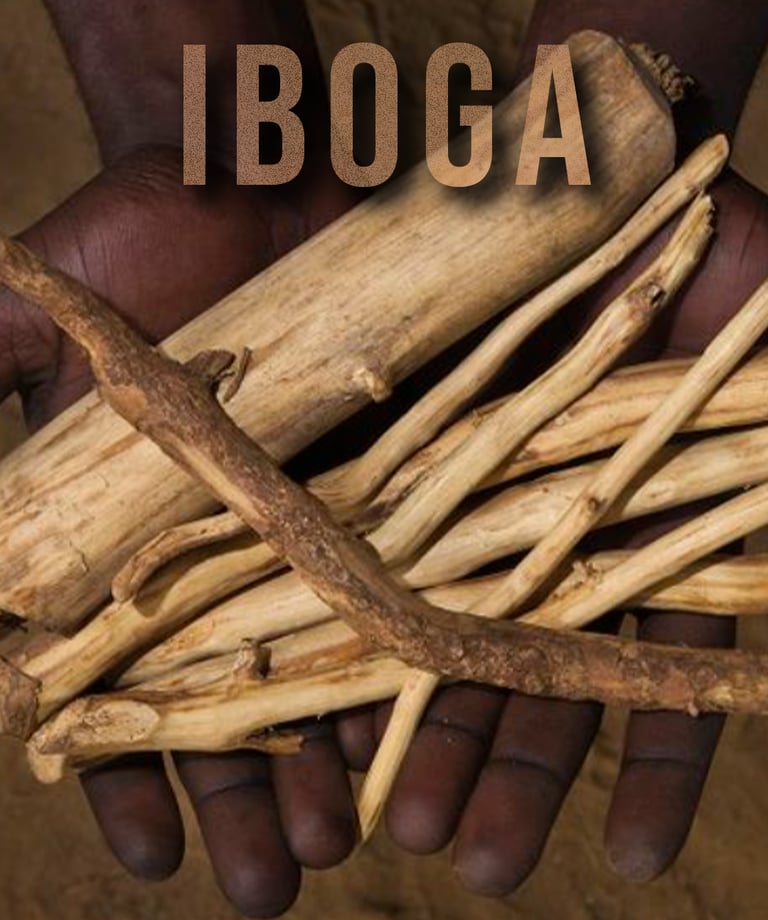 Vancouver Iboga