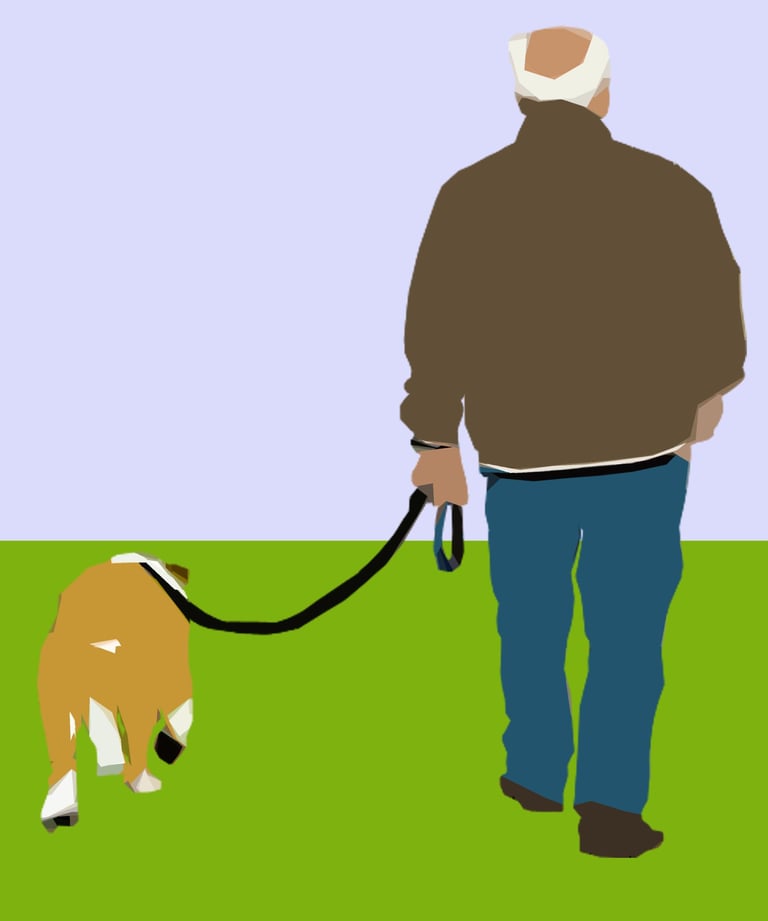 The walk