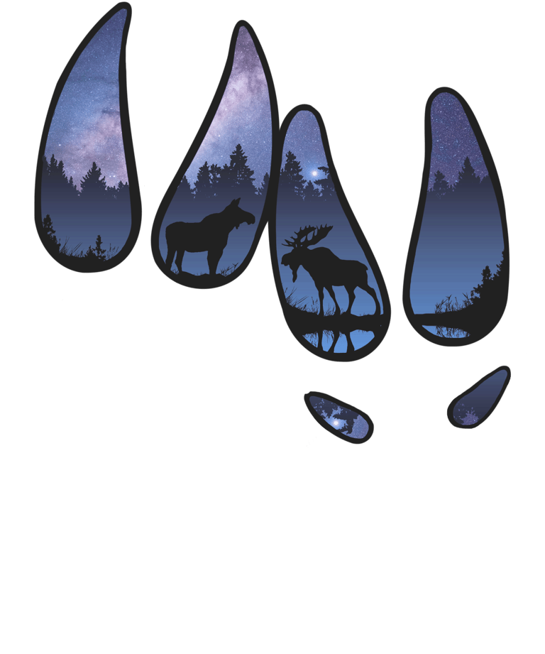 a moose and a moose in the woods