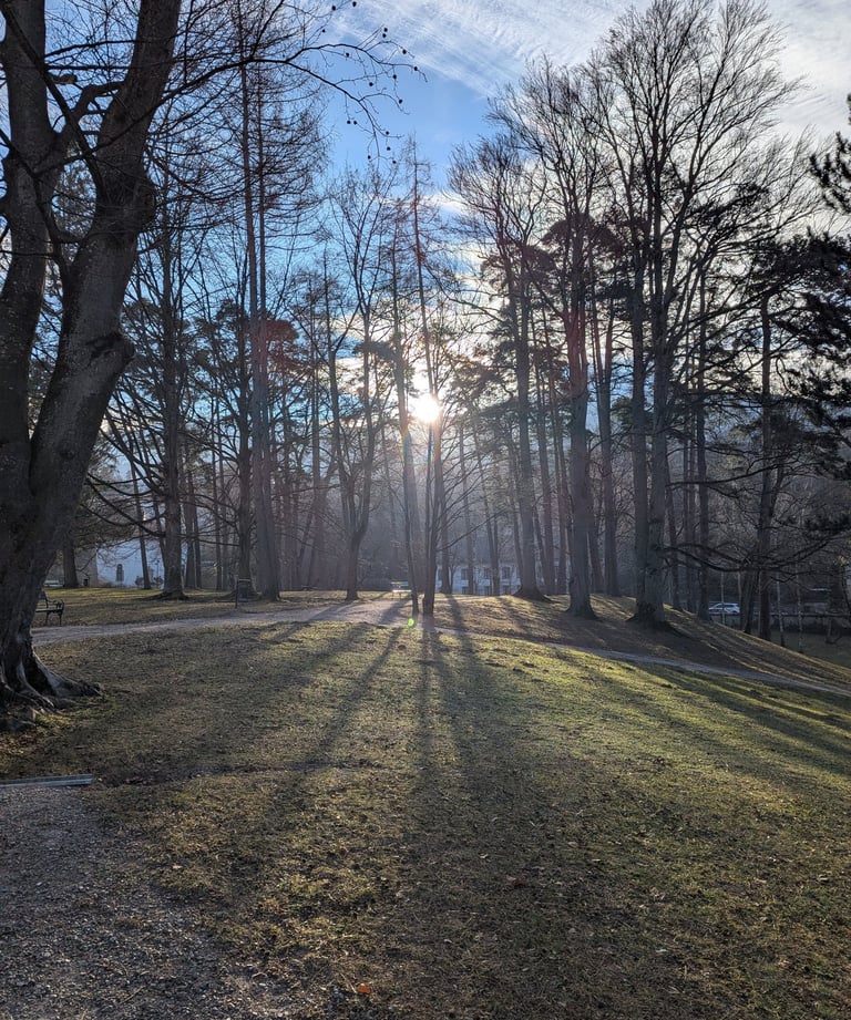 Sun filtering through the trees in the grounds of Ambras Castle, Innsbruck.