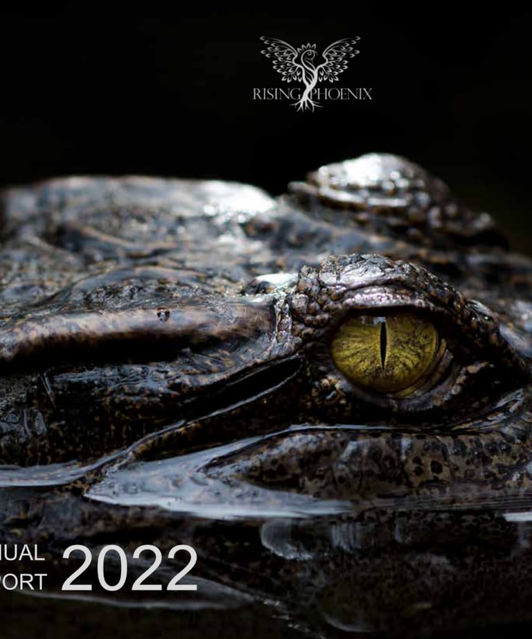 2022 Report