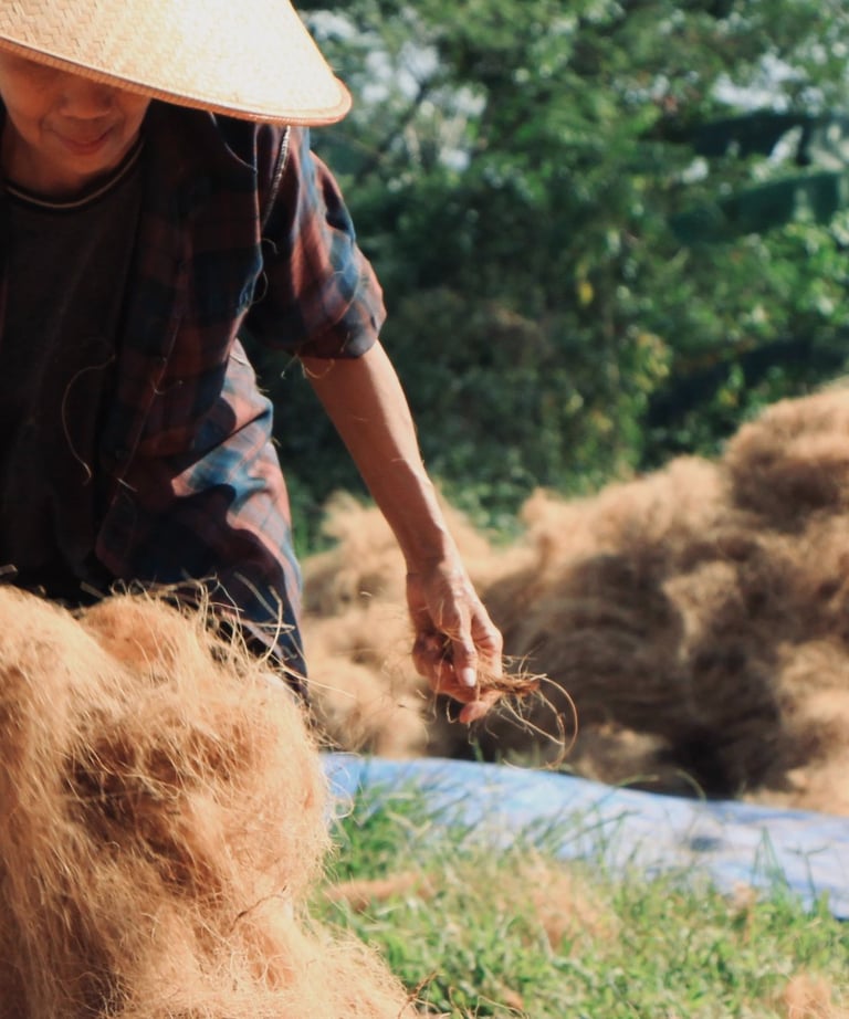coirfiber drying process