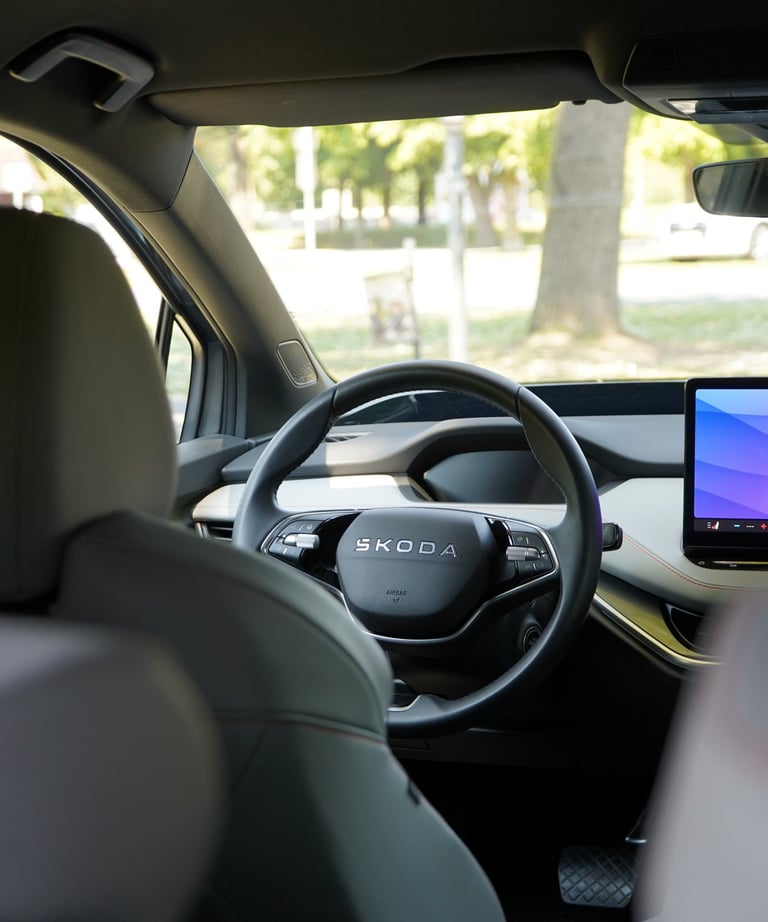 auto reinigen lassen leibnitz, auto putzen leibnitz, wie bekomme ich flecken von sitzen leibnitz,