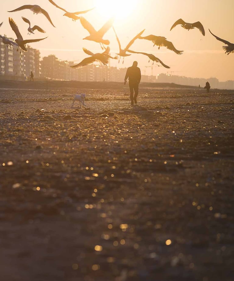 homme marchant sur la plage avec des oiseaux dans le ciel