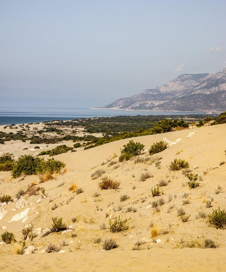 Patara dunes