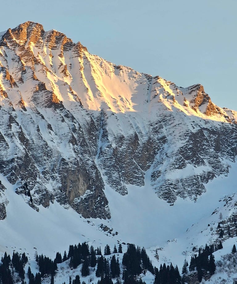 a mountain with a snow covered mountain in the background