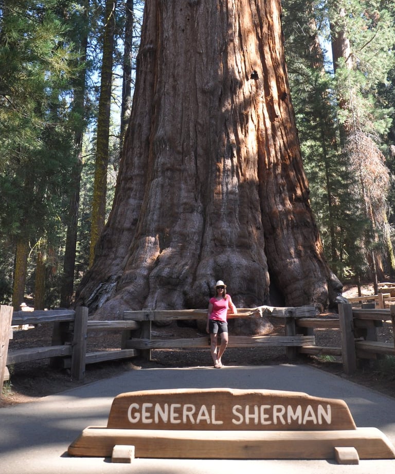 a woman standing in front of General Sherman tree General Sherman Tree in sequoia national park