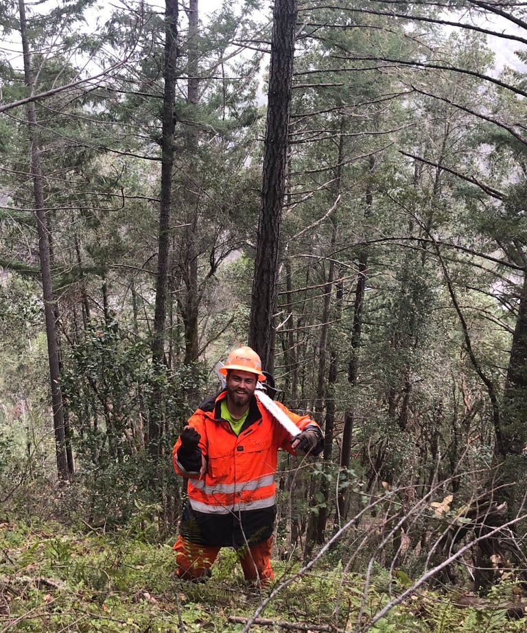 a man in a safety vest and hard hat holding a chainsaw over shoulder in the woods