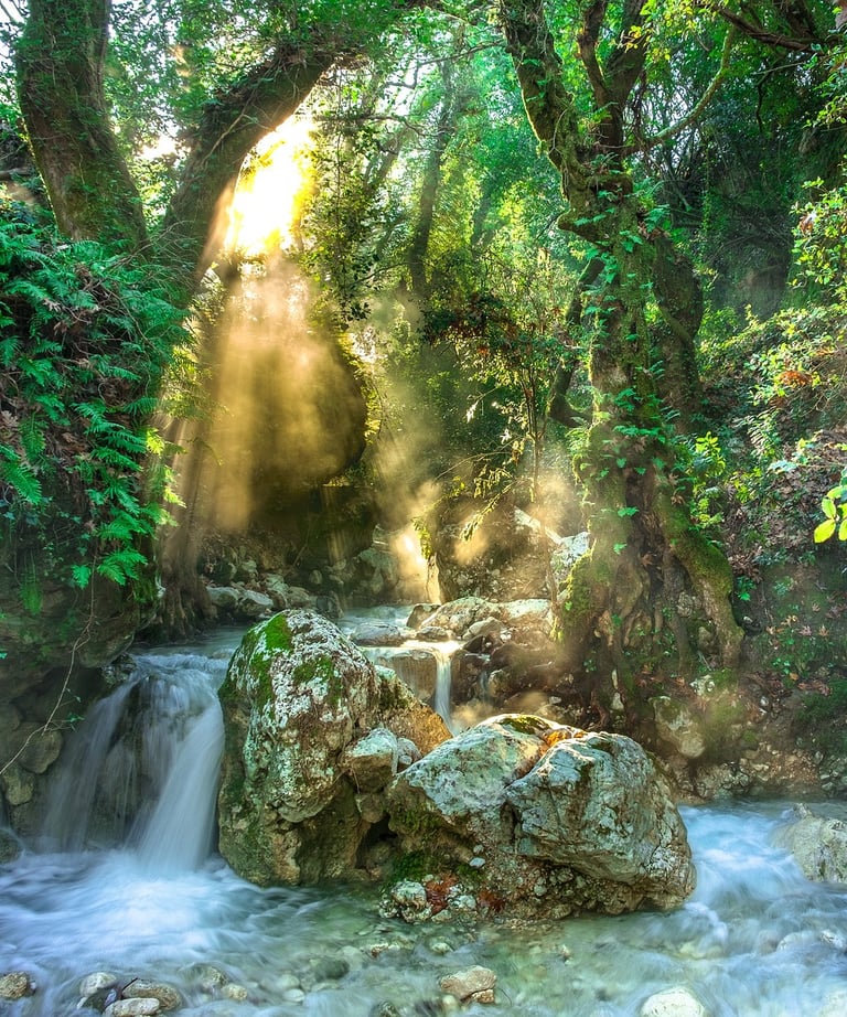 rainforest waterfall with rocks and flowing stream