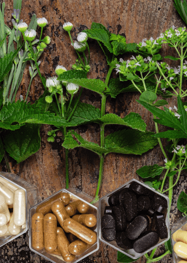 Herbs and Supplements