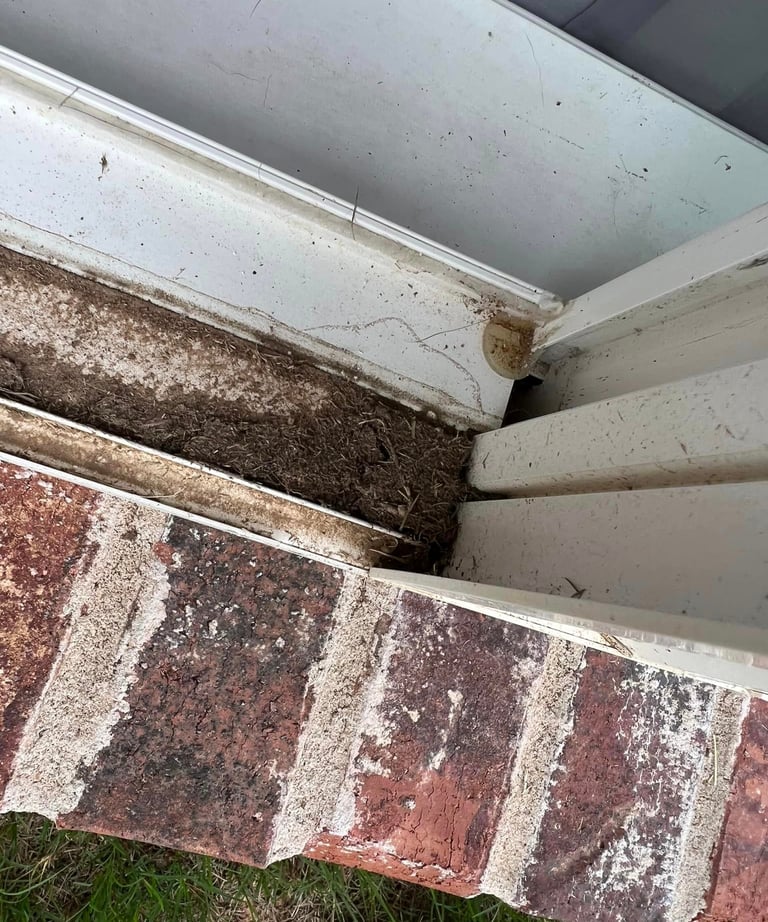 window sill before & after