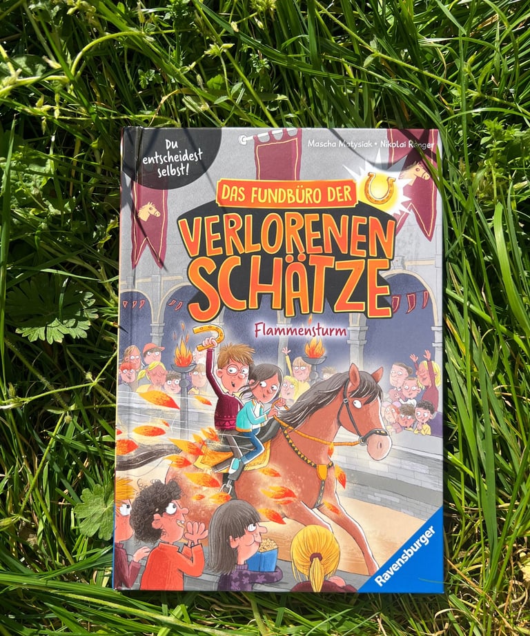 Buch: Das Fundbüro der verlorenen Schätze - Flammensturm