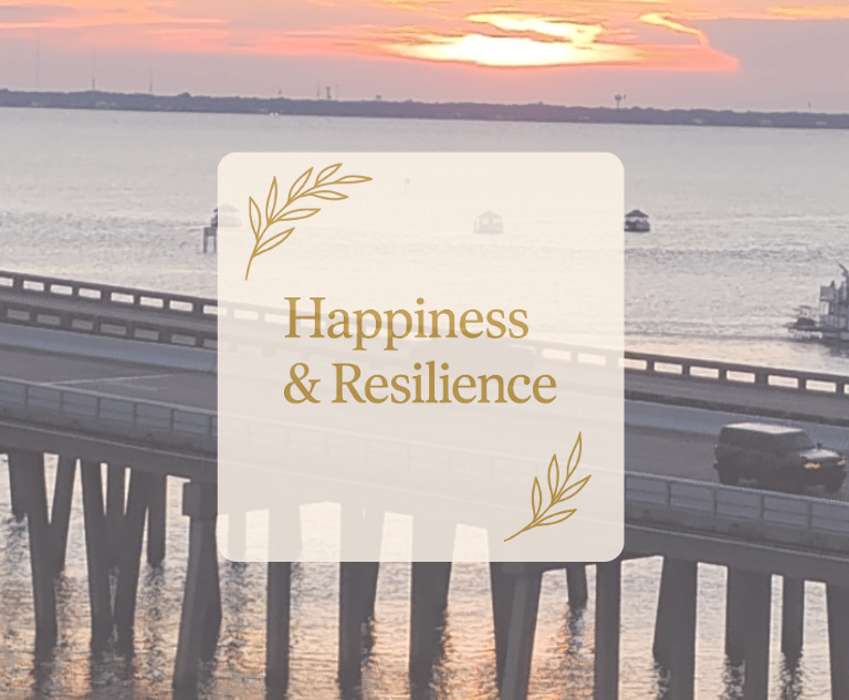 Happiness and Resilience program image for Soothe & Cheery Life Coaching.