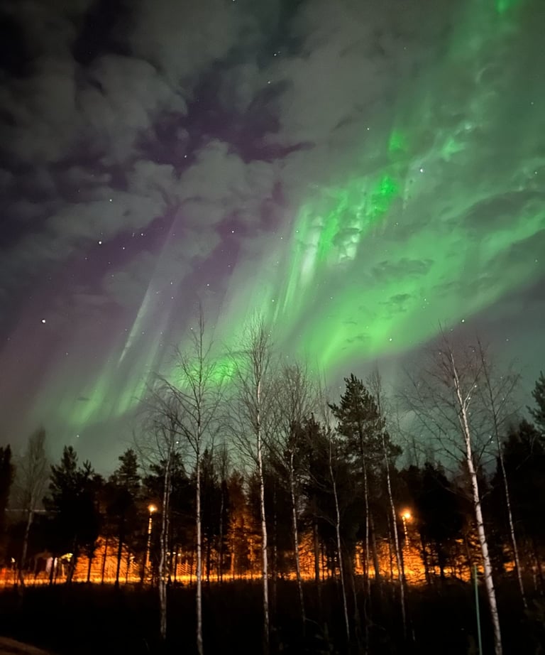 a green and white sky with a green sky with auroras and some trees