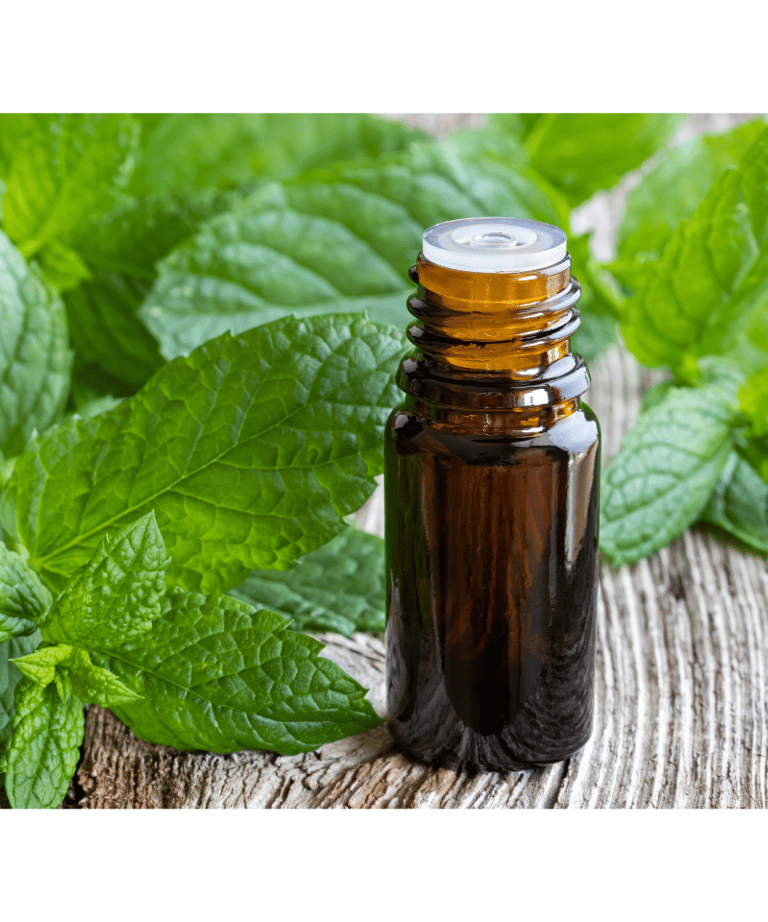 a bottle of peppermink essential oil