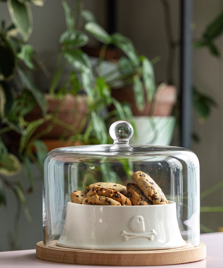 un dôme en verre avec des biscuits dessous 