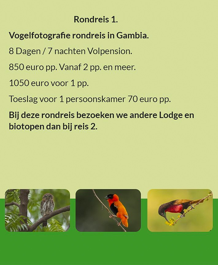 Flyer Tour 1 – 8-daagse vogelfotografie Gambia rondreis met full board, prijs vanaf €850 p.p., inclu