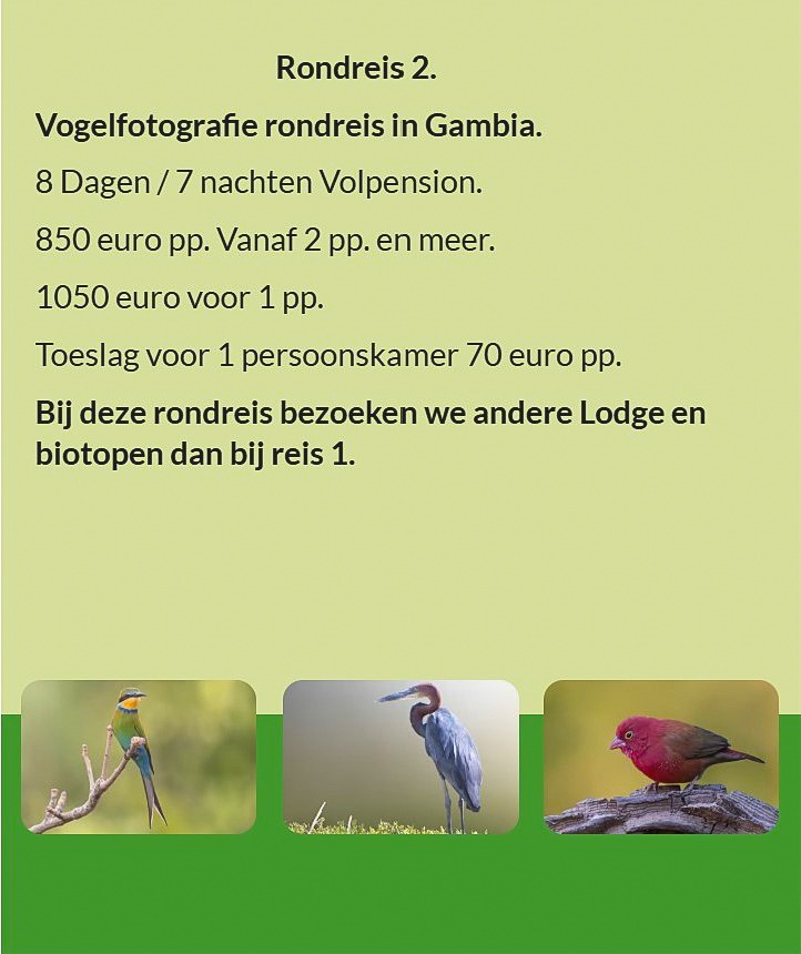 Flyer Tour 2 – 8-daagse vogelfotografie Gambia rondreis met full board, prijs vanaf €850 p.p., inclu