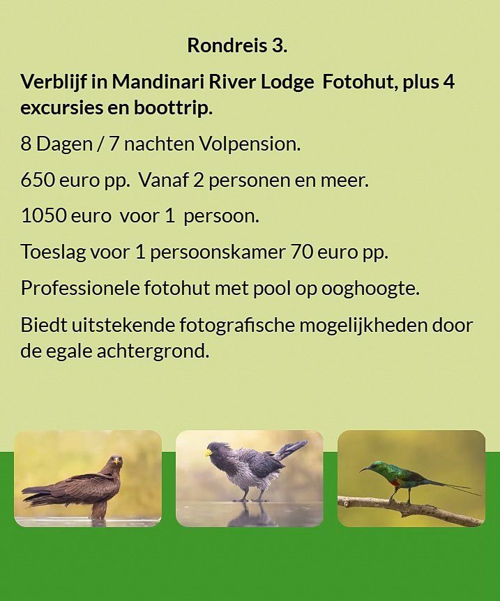 Flyer Tour 3 – 8-daagse vogelfotografie Gambia rondreis met verblijf in Mandinari River Lodge Photo 