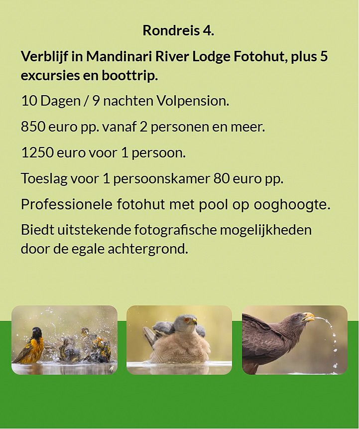 Flyer Tour 4 – 10-daagse vogelfotografie Gambia rondreis met verblijf in Mandinari River Lodge Photo