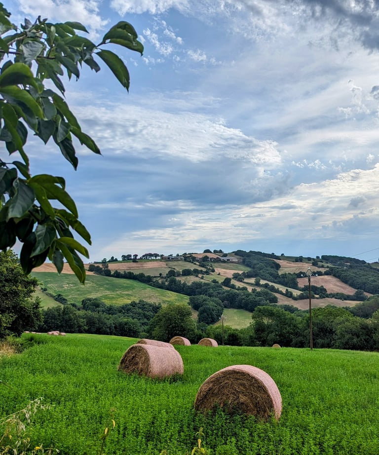Un champ avec des balles de foin et en arrière plan les collines aveyronnaises