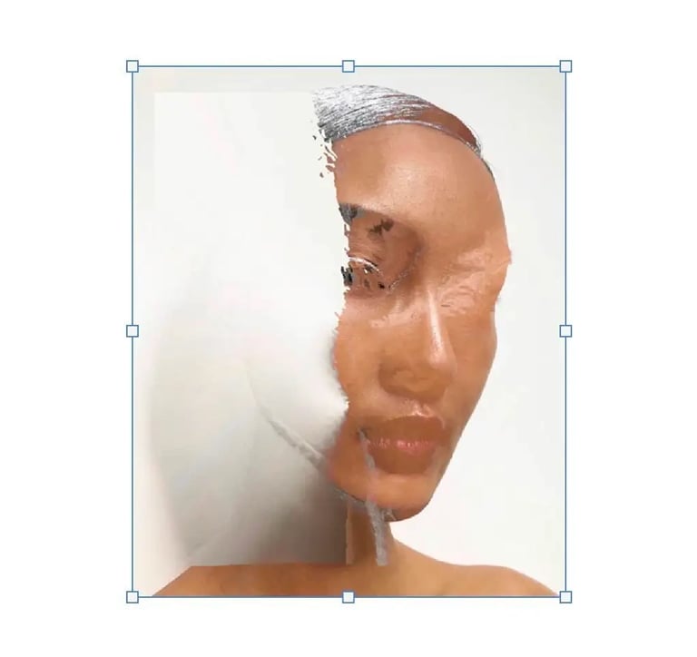 portrait, visual art, joanna wlaszyn 