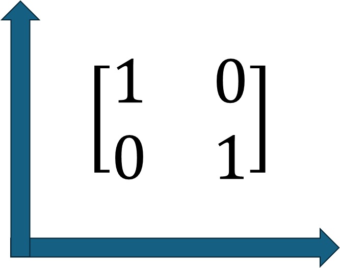 The Display Pic of Famous Udemy Course "Linear Algebra for Data Science" by Haris Jafri.