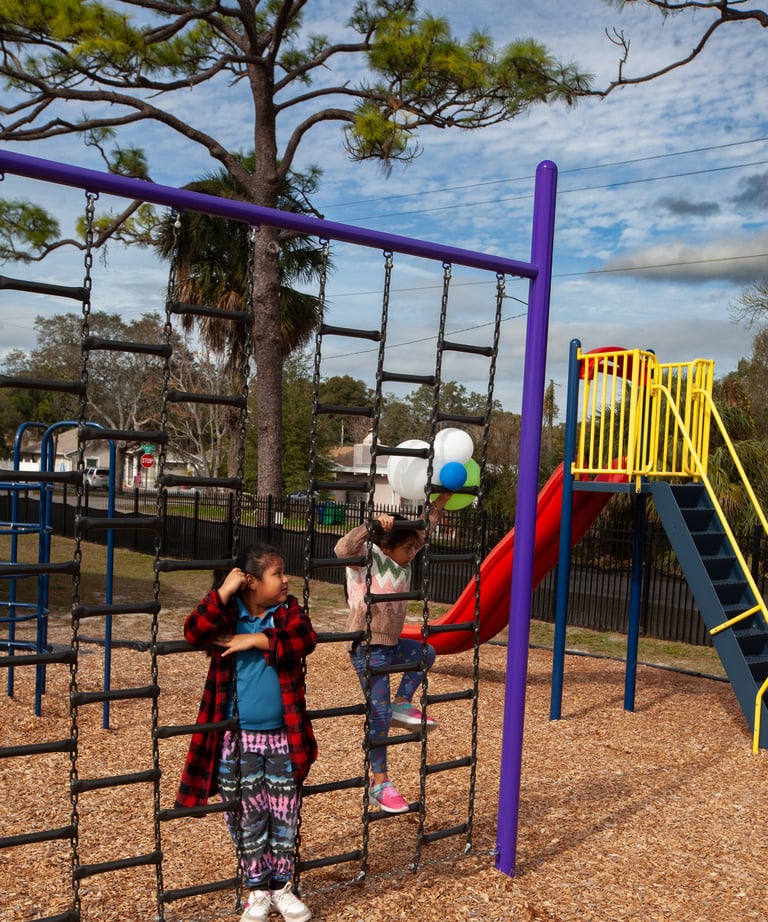 Children climbing park ladder