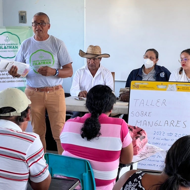 consultoría y capacitaciones para restauración de manglar