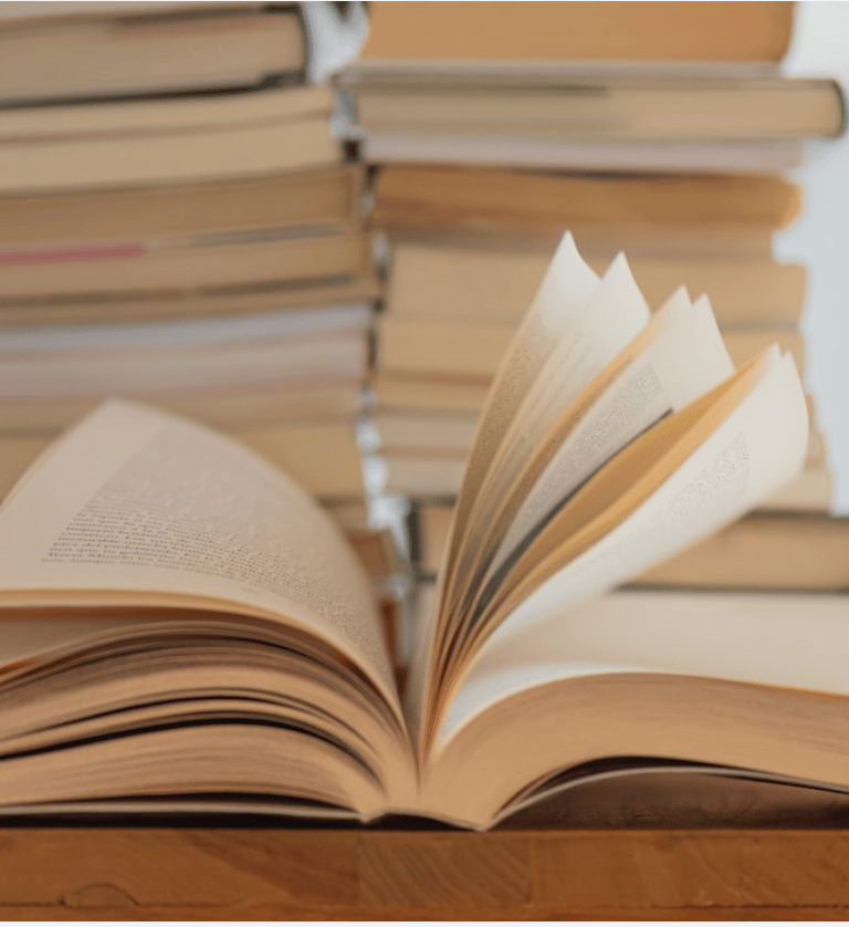 25-Lesson IB tutoring package for Maths or Physics students