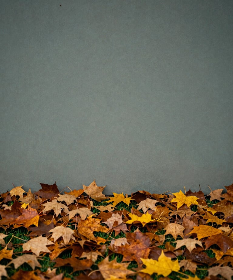 A calm, minimalist image of a Northern European garden in autumn, soft light hitting the fallen leaves, evoking a sense of natural cycles and healing.