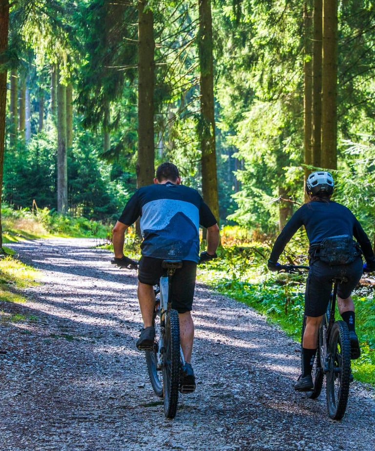 Cours VTT adultes et enfants en forêt de Vallée de Chevreuse