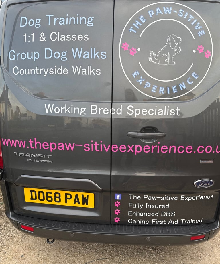 The Paw-sitive Experience dog training and group dog walking van, showing business logo, services offered, website, and licen