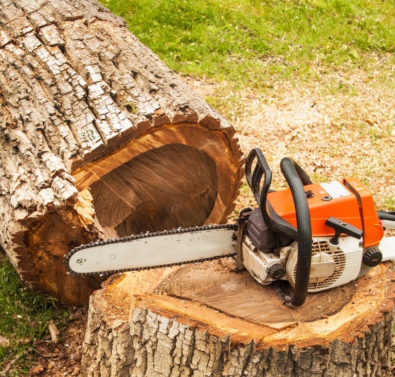 tree removal services in St.Tammany Parish