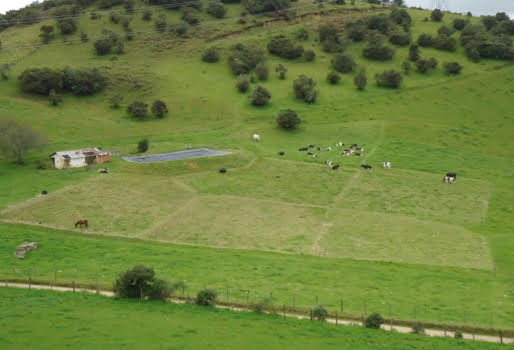 Diseño de potreros para ganaderia