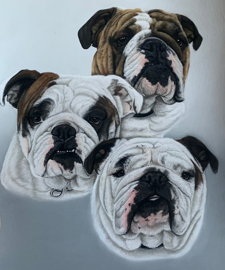 pet portrait commissions