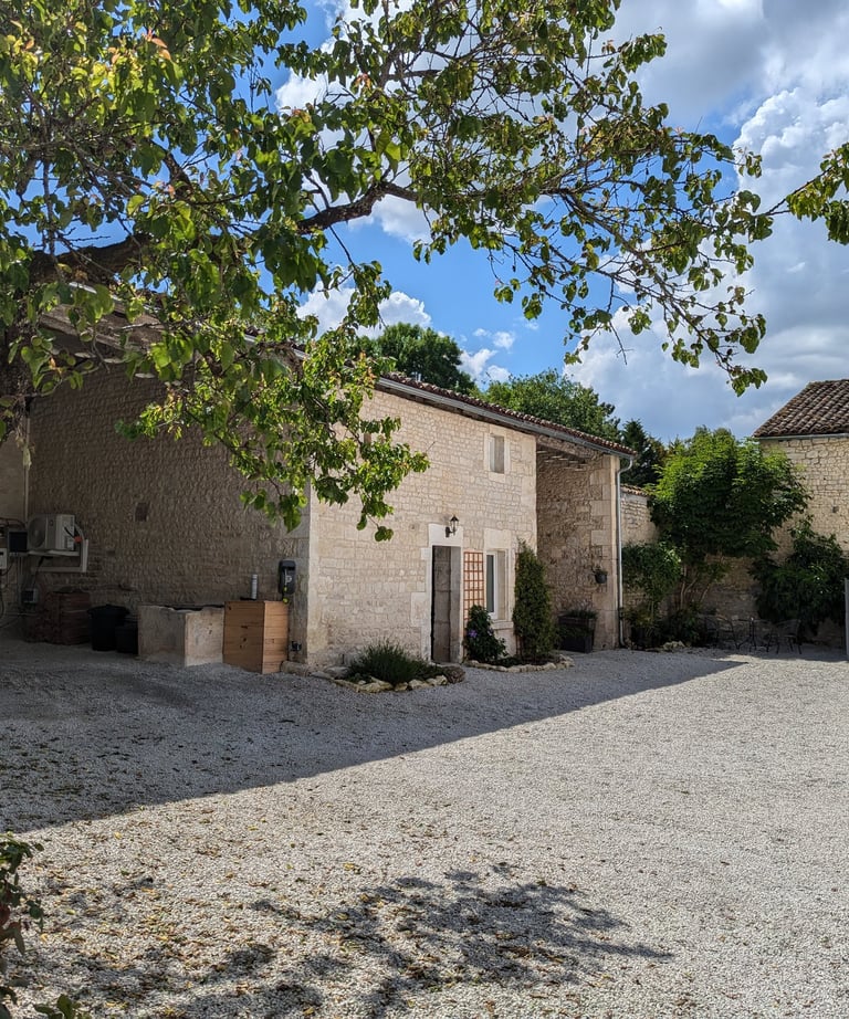 a courtyard with a tree and a building