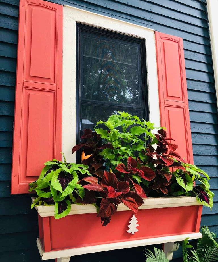 Blue cottage with bright orange shutters and a window box overflowing with colorful flowers