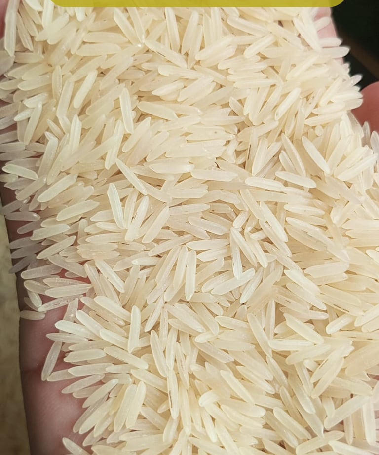 Biigest Basmati Rice Exporters Of Pakistan