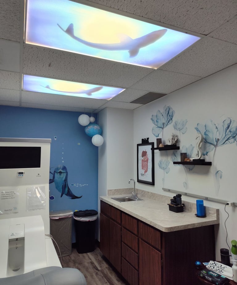 Colonic Hydrotherapy room 2