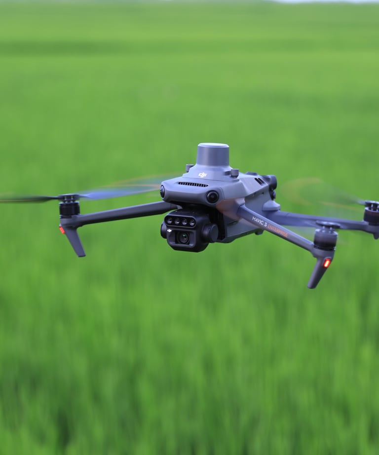 Kintamos normos žemėlapiai