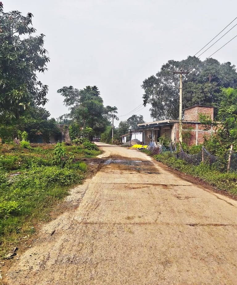 street