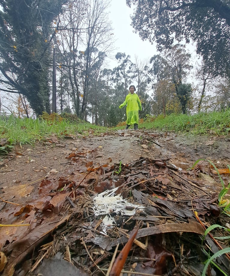 person approaching a flour marking on a path
