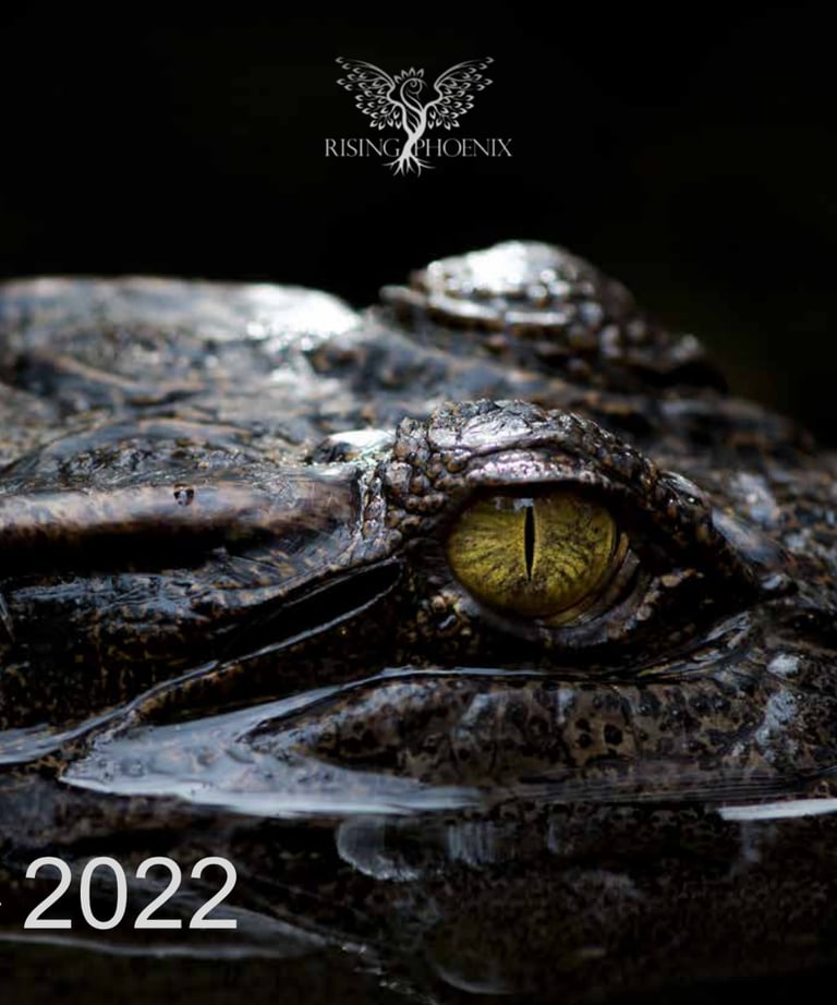 2022 Report