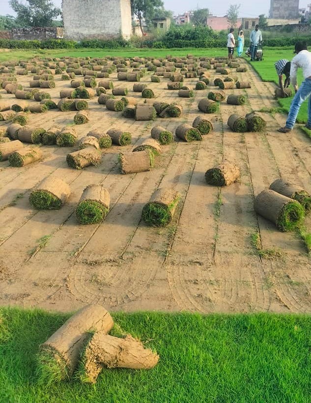 landscaping services Andhra Pradesh