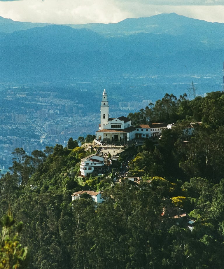 www.capitoliohomes.com | Capitolio Homes | Bogota Real Estate