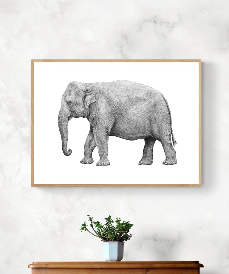 Wildlife Art - Asian elephant