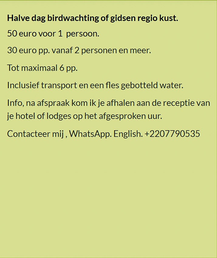 Flyer halve dag birdwatching aan de kust in Gambia. Prijs €50 voor 1 persoon of €30 p.p. vanaf 2 per